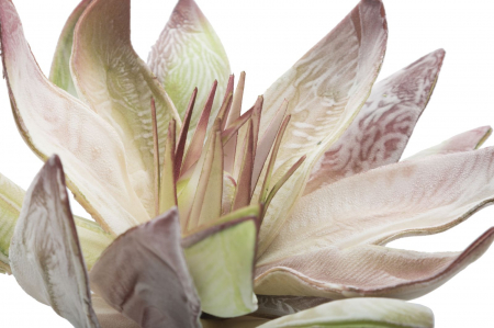 Floare x2 verde cm ø 28x88 [2]