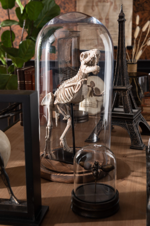 SALE % - Fructiera Bell L