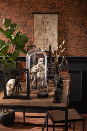 Fructiera Bell L [2]