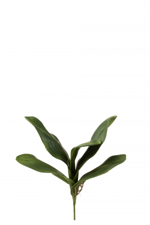 SALE % - Frunza artificiala, Plastic, Verde, 36x9x38 cm