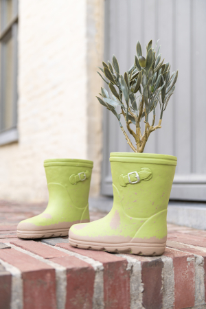SALE % - Ghivece pentru flori, BOOT, ASS2
