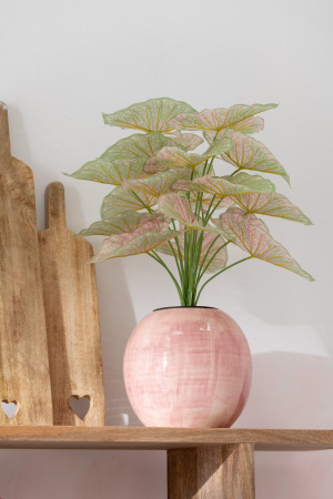 Ghivece pentru flori, CORA, M [2]