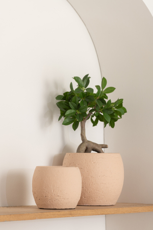 SALE % - Ghiveci, Ceramica, Bej, 28x28x26