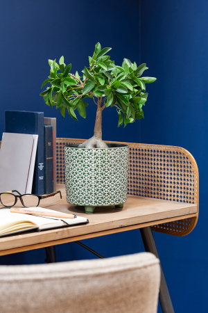 SALE % - Ghiveci, Ceramica, Verde, 16.5x16.5x16.5