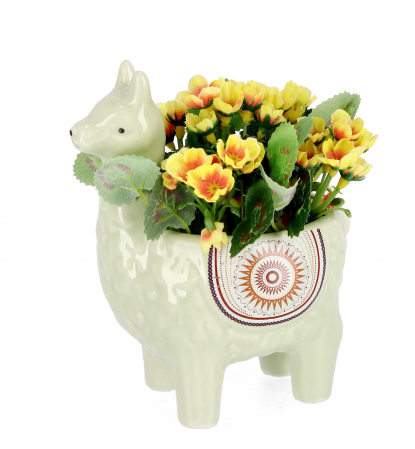 IN STOC -  Ghiveci de plante, verde, alpaca H17