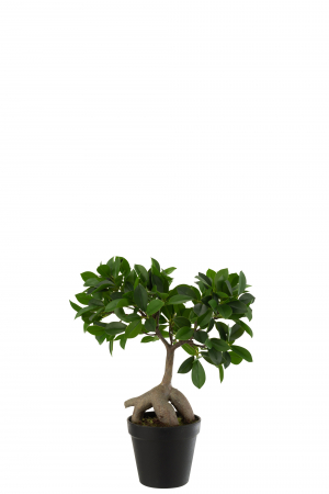 SALE % - Ginseng artificial, Textil, Verde, 25x13x37 cm
