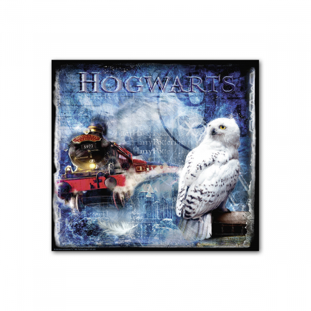 Harry Potter, Tablou, Pânză, multicolor, PU 1, L. 4 cm, L. 70 cm, H 70 cm SALE % - Harry Potter, Tablou, Pânză, multicolor, PU 1, L. 4 cm, L. 70 cm, H 70 cm