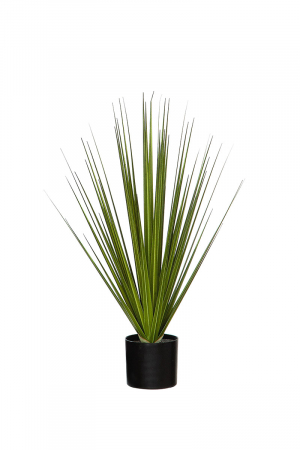 Iarba decorativa la ghiveci Wild, Fibre sintetice, Verde/Negru, 56x35 cm SALE % - Iarba decorativa la ghiveci Wild, Fibre sintetice, Verde/Negru, 56x35 cm