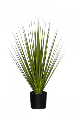 Iarba decorativa la ghiveci Wild, Fibre sintetice, Verde/Negru, 68x40 cm SALE % - Iarba decorativa la ghiveci Wild, Fibre sintetice, Verde/Negru, 68x40 cm
