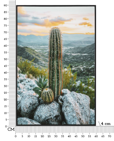 Imprimeu pe panza cu rama, cactus -a- 60x4x90 cm [6]