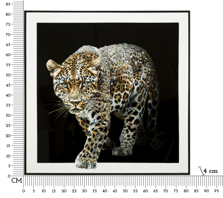 Imprimeu pe panza cu rama, jaguar -b- 82x4x82 cm [5]