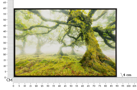 Imprimeu pe panza cu rama, padure 90x4x60 cm [6]