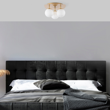 Lustre - Lustra