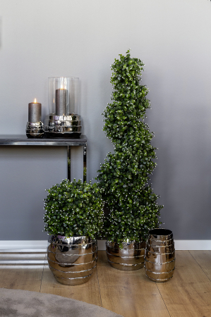 MÜNZBLATT, Planta in ghiveci, verde, h.120 cm [5]