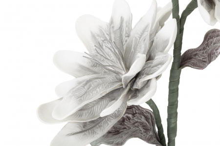 Magnolia x2 gri cm ø 25x98  [2]