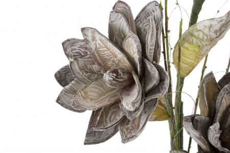 Magnolia x3 verde cm ø 30x90 [2]