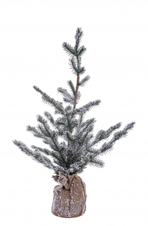 Coronite si Brazi - Nordend Pin cu zăpadă H60