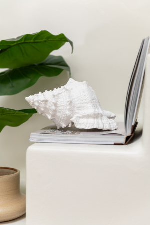 SALE % - Obiect decorativ, SEASHELL