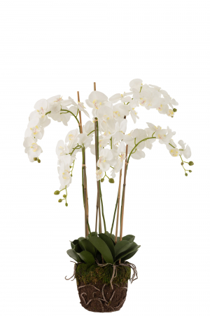 Plante artificiale si uscate - Orhidee artificiala, Textil, Alb, 60x53x104 cm