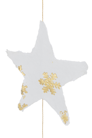 Ornament de Crăciun, Stele [2]