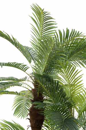 Palmier artificial, Plastic, Verde, 175x180x300 cm [3]