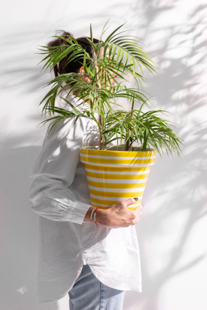 Palmier, Textil, Verde, 70x40x112 cm [2]