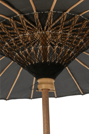 Parasolar, LORIE [3]