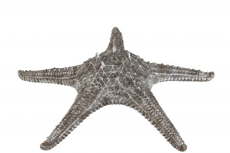 Mare si soare - Decoratiune Peste, Compozit, Argintiu, 37x37x10 cm