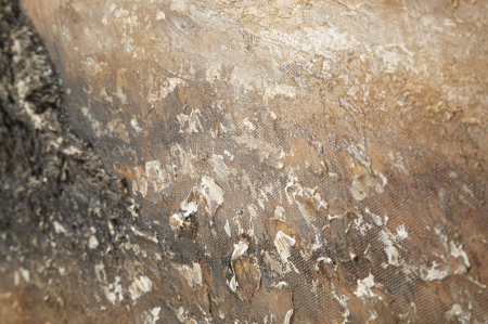 Pictura pe panza, Maslin -c- 120x3,8x80 cm [3]