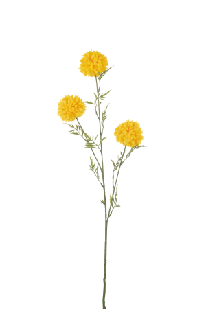 Planta artificiala, BALL MUM [1]