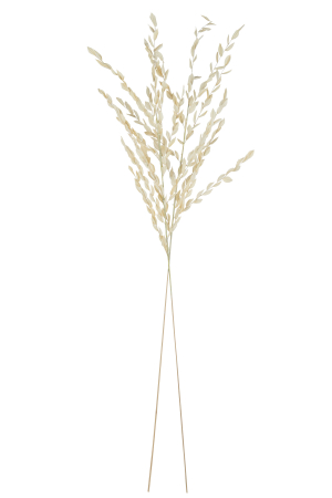 Planta artificiala, DRIED LEAVES [1]