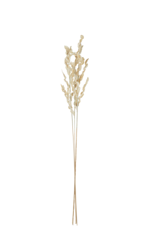 Planta artificiala, DRIED LEAVES [1]