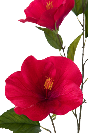 Planta artificiala, HIBISCUS [1]