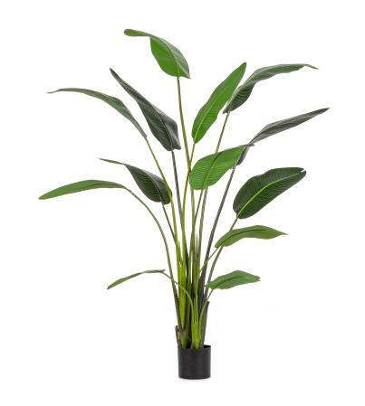 Lichidare stoc - Planta artificiala BANAN, verde, 120X235 cm