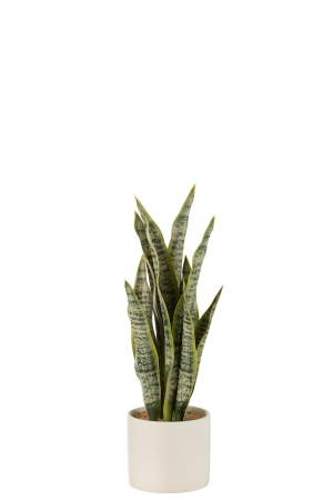Planta artificiala, Material sintetic, Verde, 11x11x37 [1]