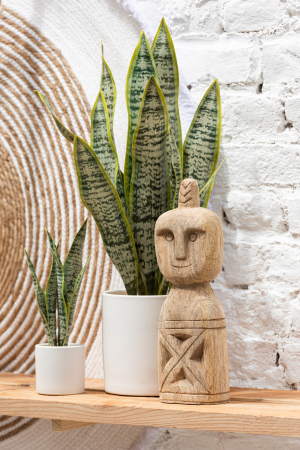 SALE % - Planta artificiala, Material sintetic, Verde, 11x11x37
