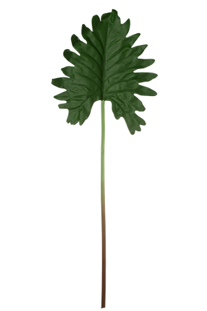 SALE % - Planta artificiala, Material sintetic, Verde, 25x4x82