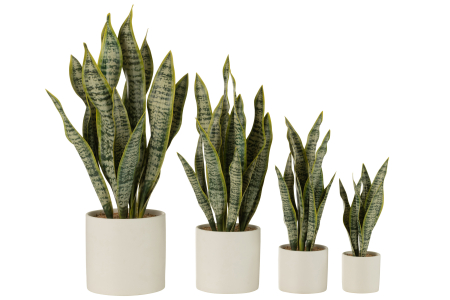 Planta artificiala, Material sintetic, Verde, 33x25x60 [2]