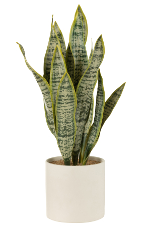 Planta artificiala, Material sintetic, Verde, 33x25x60 [1]