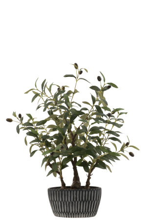 Planta artificiala, OLIVE TREE [1]