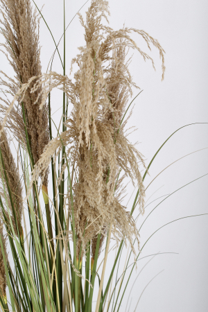 Planta artificiala Pampas cu vaza, Material sintetic, Verde, 145h [1]