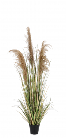 SALE % - Planta artificiala Pampas cu vaza, Material sintetic, Verde, 145h
