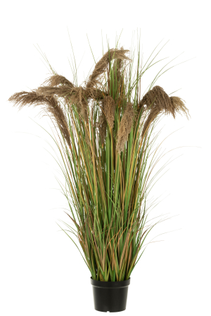 SALE % - Planta artificiala Pampas, Material sintetic, Verde, 60x60x180