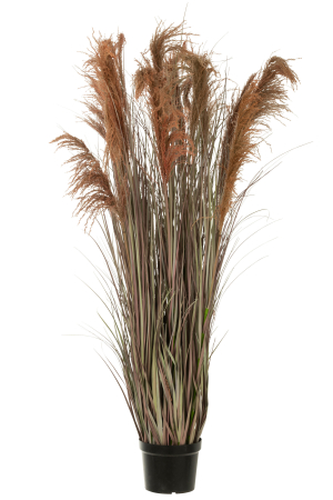 SALE % - Planta artificiala Pampas, Material sintetic, Verde, 80x60x180
