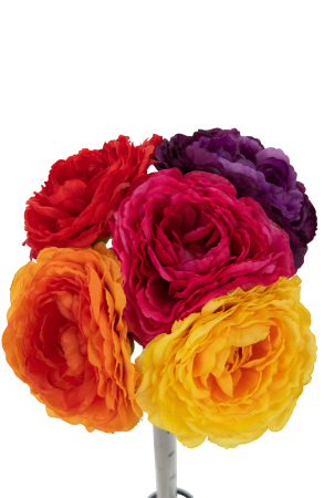 Planta artificiala, RANUNCULUS [1]