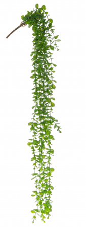 DECORATIUNI - Planta curgatoare artificiala 105 cm