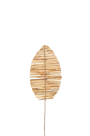 SALE % - Planta, Fibre naturale, Natural, 25x2x91