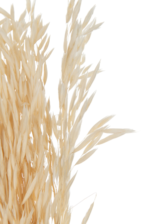 Planta, Fibre naturale, Natural, 7.5x7.5x85 [1]