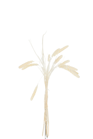 Plante artificiale si uscate - Planta, Fibre naturale, Natural, 9x9x93