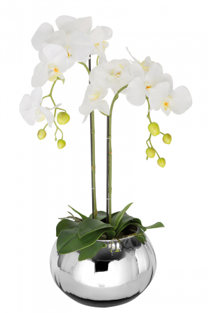 SALE % - Plantă în ghiveci, Orhidee, Sintetică, verde, albă, PU 2, H. 70 cm